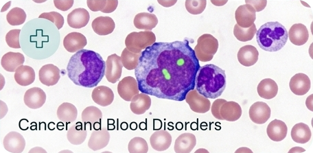 Cancer and blood disorders