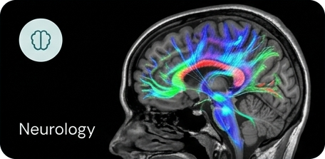 Neurology